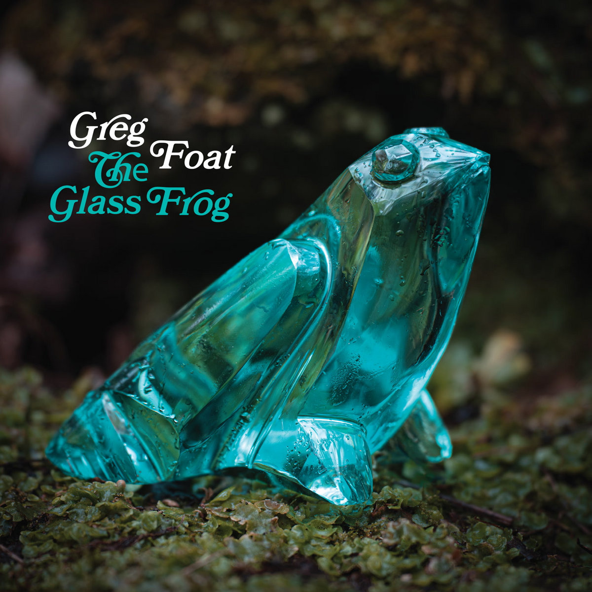 英LP Greg Foat Glass Frog BCRLP07 Blue Crystal Records /00250 The Glass Frog | Greg Foat