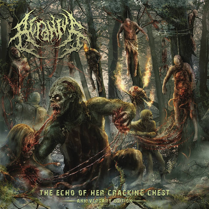 デスコア ブルデス AcraniaとHuman Errorのアルバムセット The Echo Of Her Cracking Chest [Anniversary Edition] | ACRANIUS
