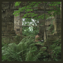 Wrens in The Wall cover art