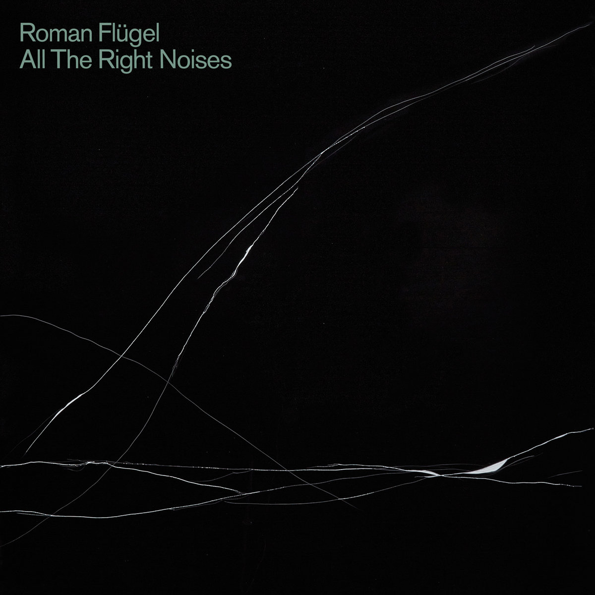 All The Right Noises | Roman Flügel