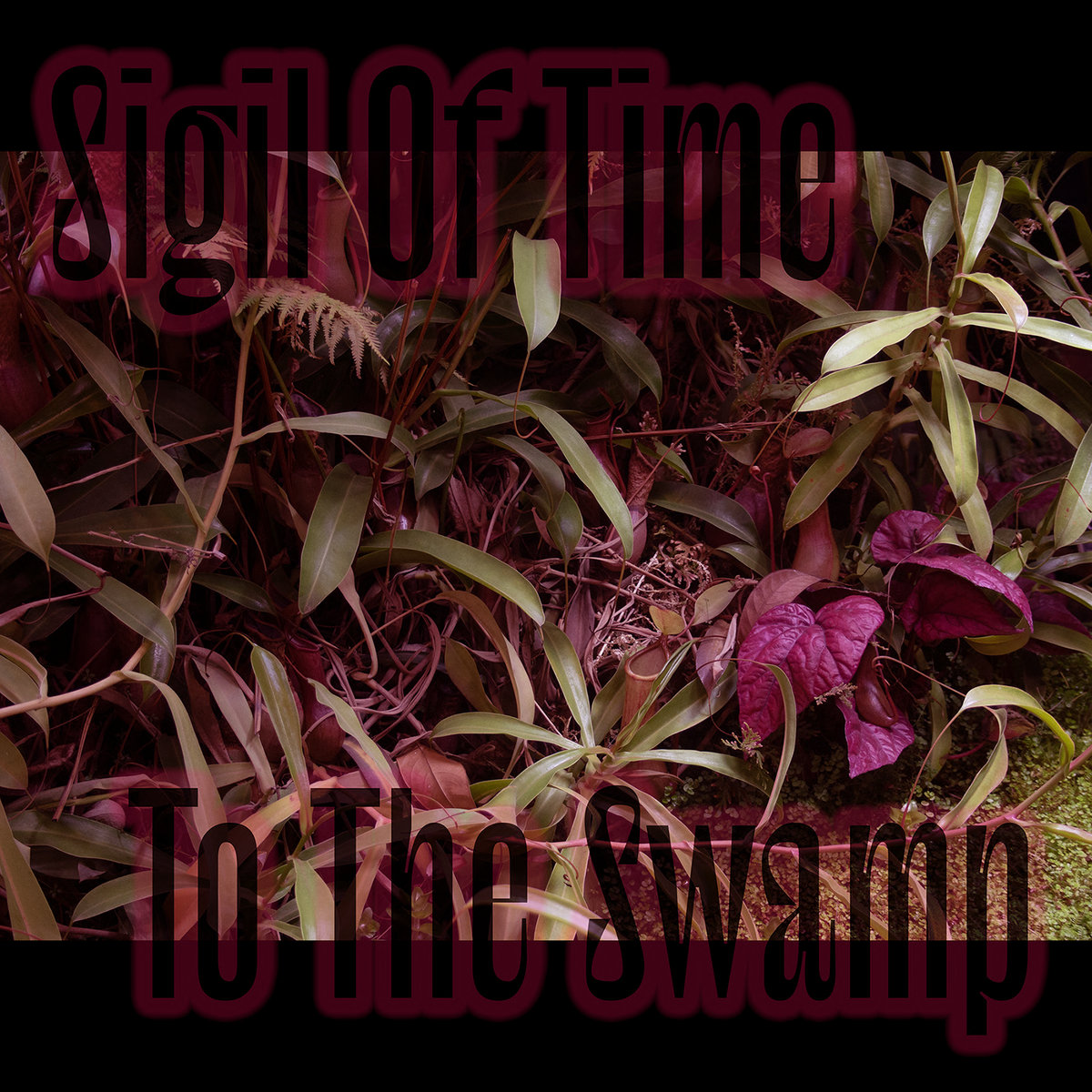 To The Swamp | Sigil Of Time