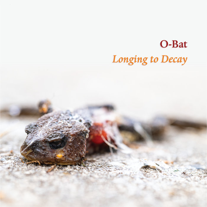 Decayed Bat Longing to Decay | O-Bat