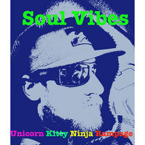 Soul Vibes — Unicorn Kitty Ninja Rampage