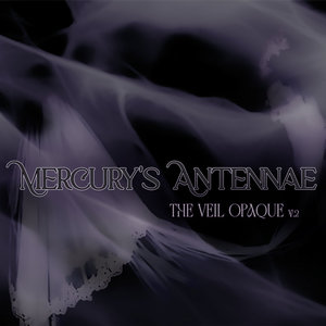 The Veil Opaque v.2 cover