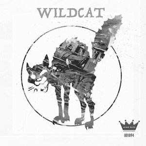 Ben Vaughn — Wildcat
