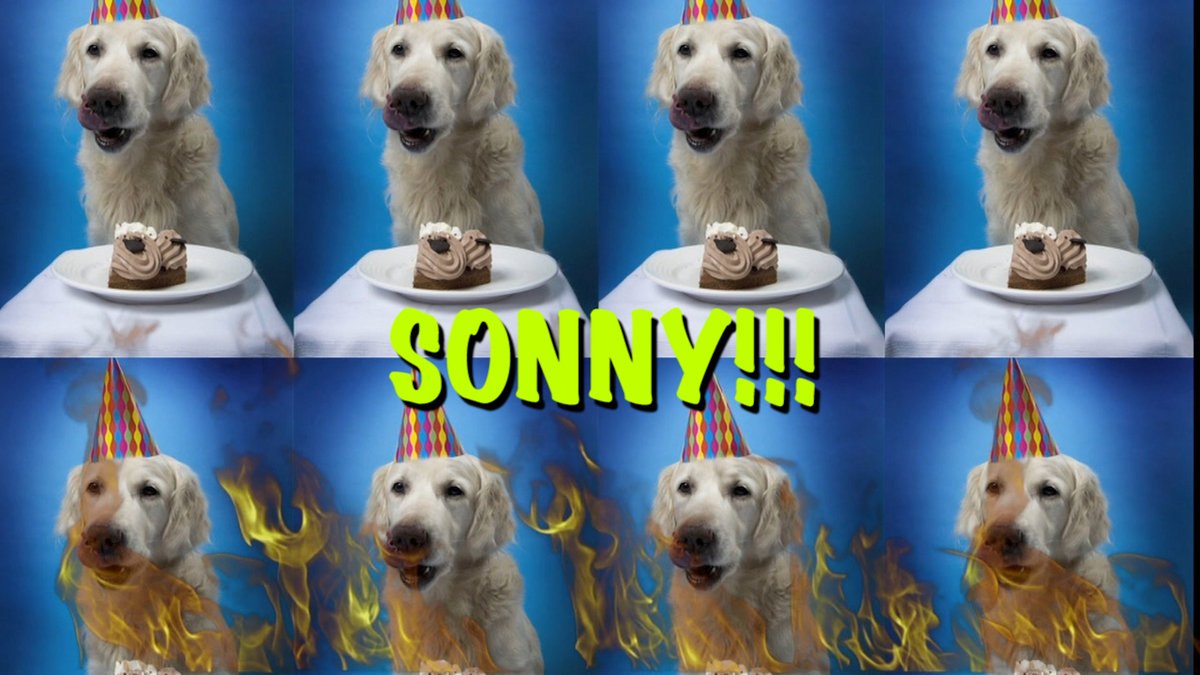 HAPPY BIRTHDAY SONNY! | Epic Happy Birthdays