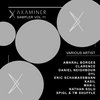 Various Artist- Axaminer Sampler vol.11