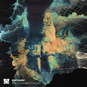 Stampede cover