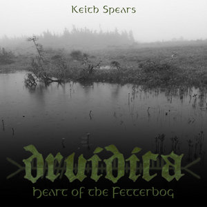 Druidica: Heart of the Fetterbog cover