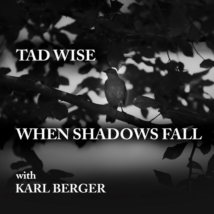 When Shadows Fall Tad Wise
