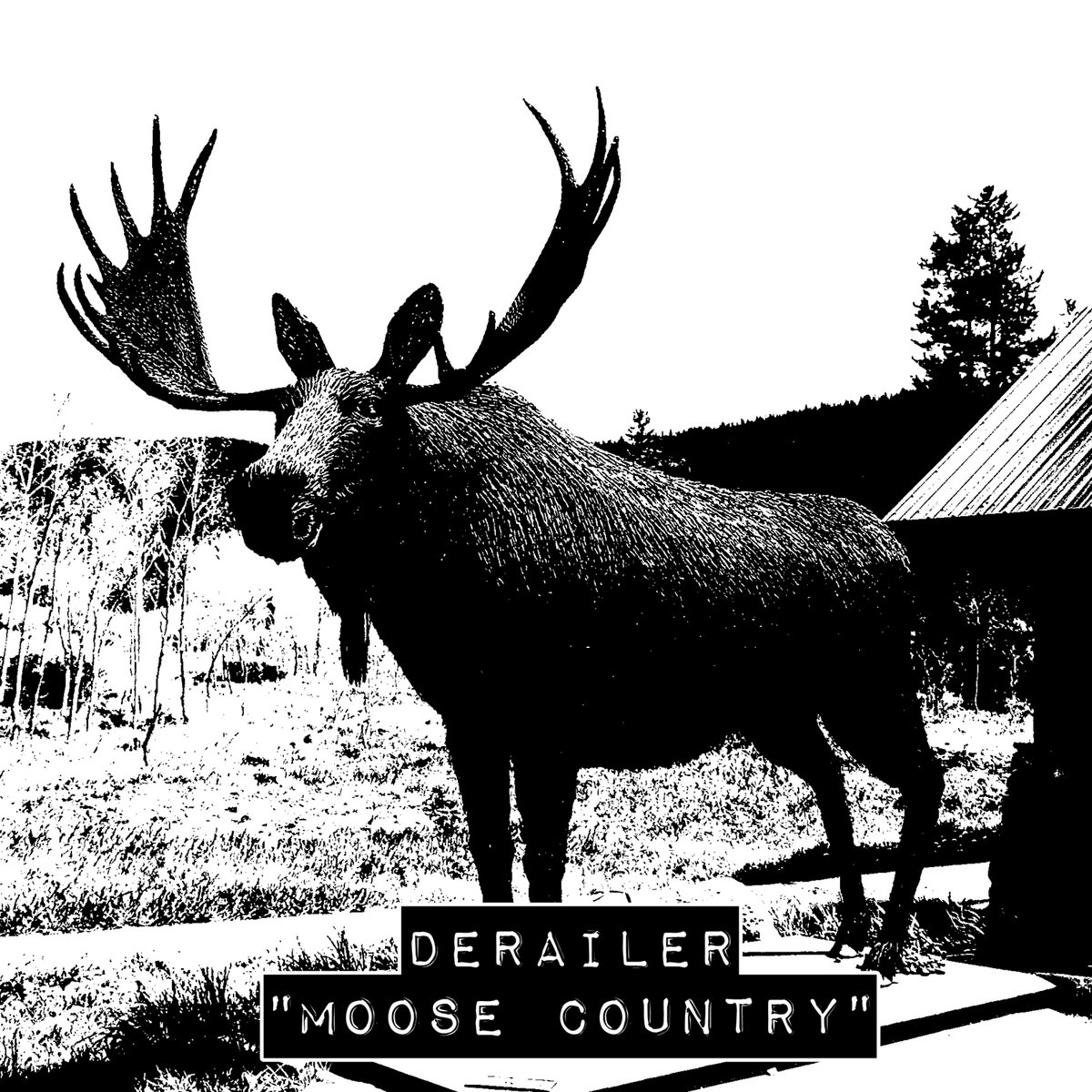 Moose Country Derailer