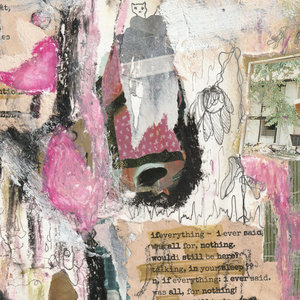 aster cover