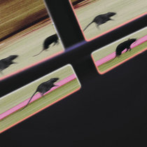 DJ JM — Rat Race