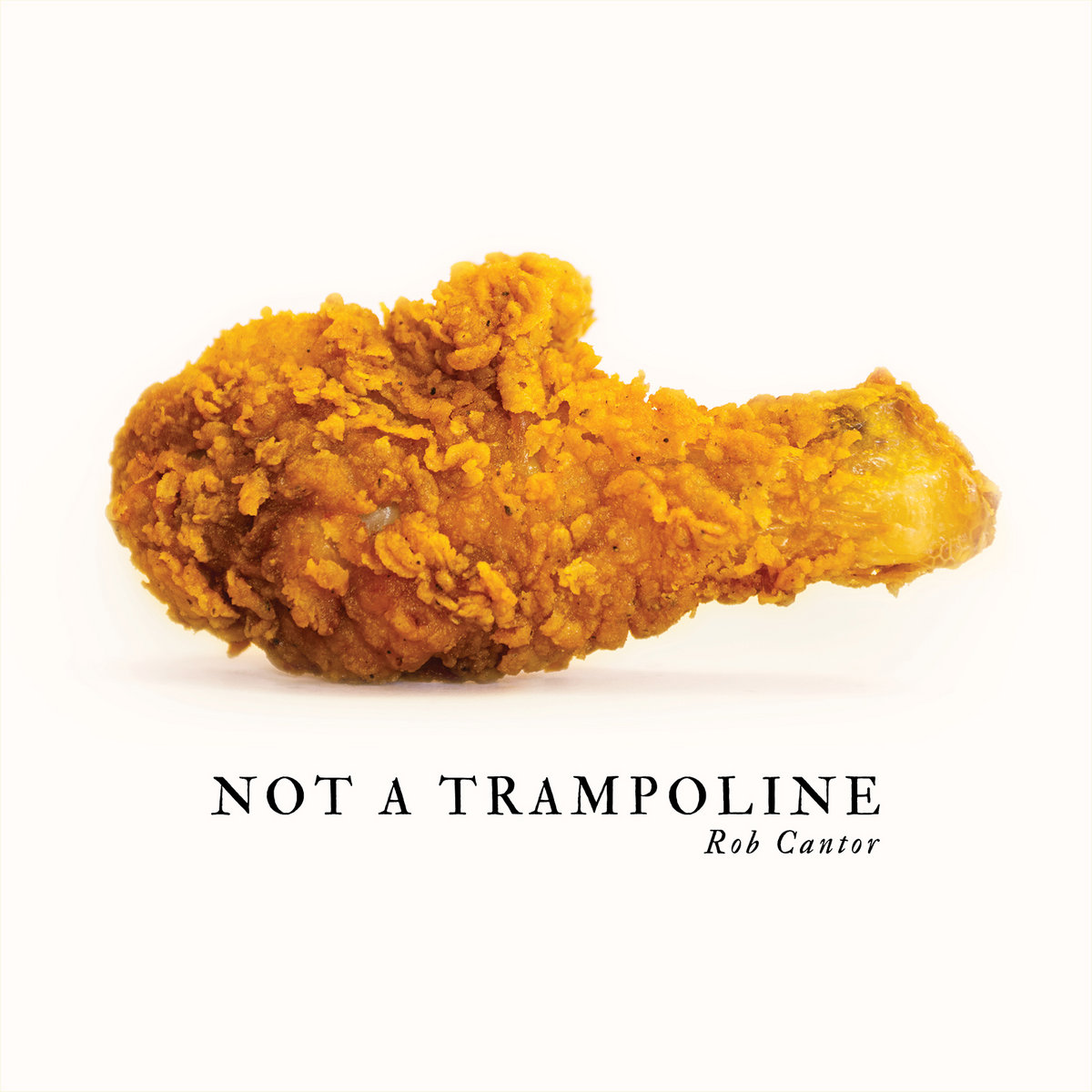 The cover of Not A Trampoline. It is a pristine photo of a chicken nugget.