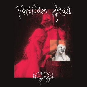 Forbidden Angel cover