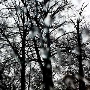 alittlebitofrain cover