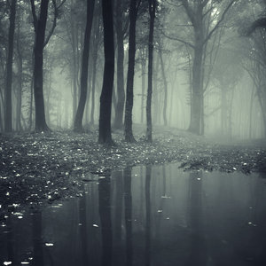 Lost Souls cover