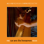 Fire (We Are The Horsemen Remix)