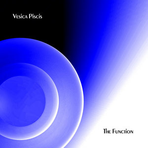 The Function cover