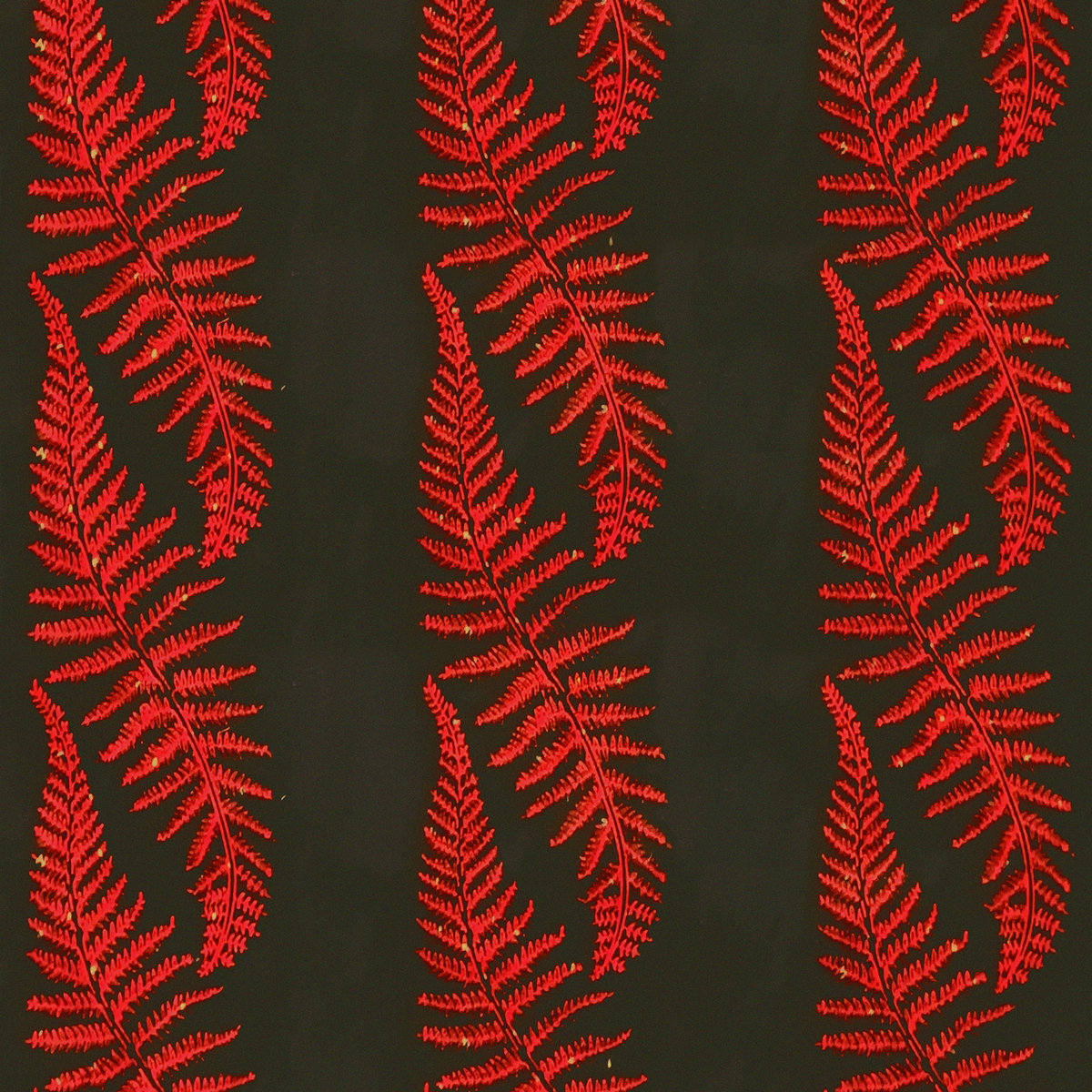 The Electro Maloya Experiments Of Jako Maron (Expanded Edition)