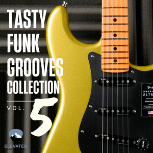 Tasty Funk Grooves Collection, Vol. 5 cover