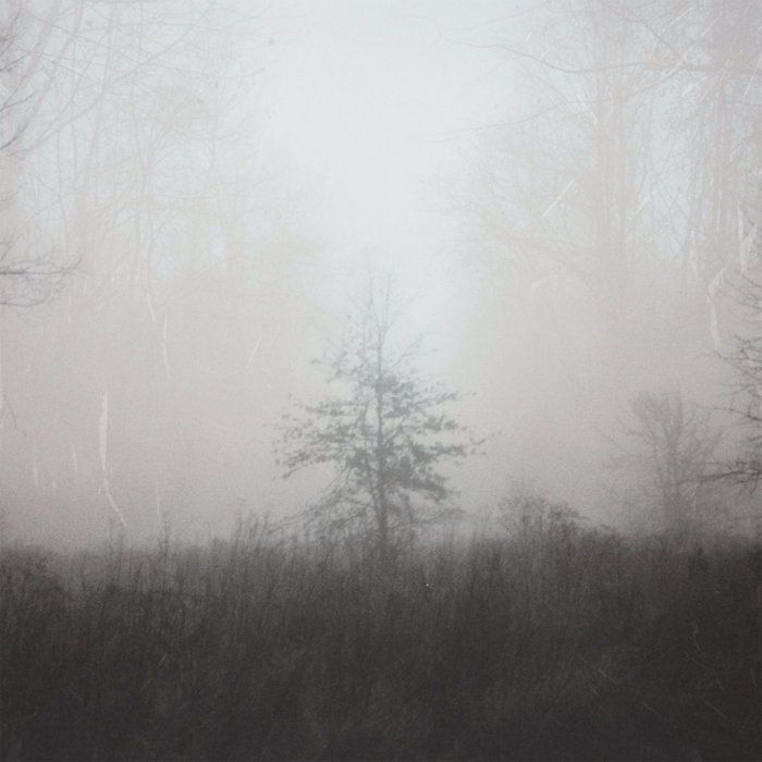 Little Bird Jenny Owen Youngs