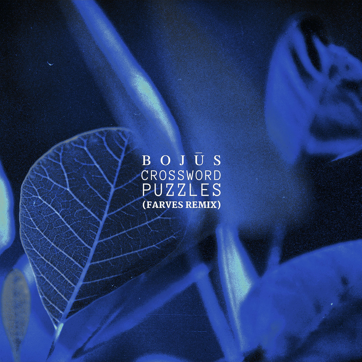 Crossword Puzzles (Farves Remix) Bojus Stereofox Records Crossword Puzzles (Farves Remix) Bojus Stereofox Records