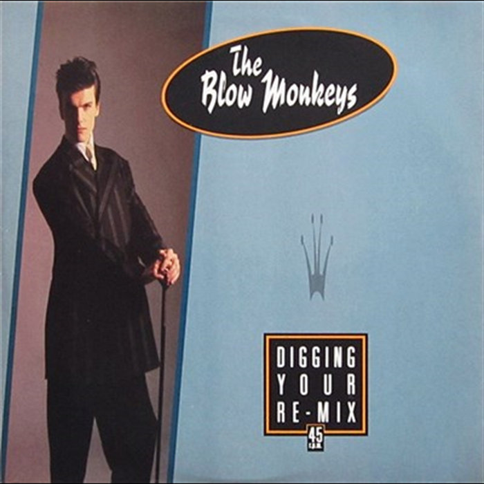 Digging Your Re Mix | The Blow Monkeys