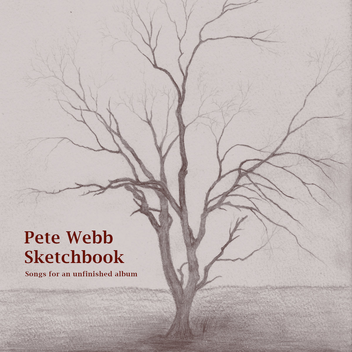 Sketchbook Songs for an Unfinished Album Pete b