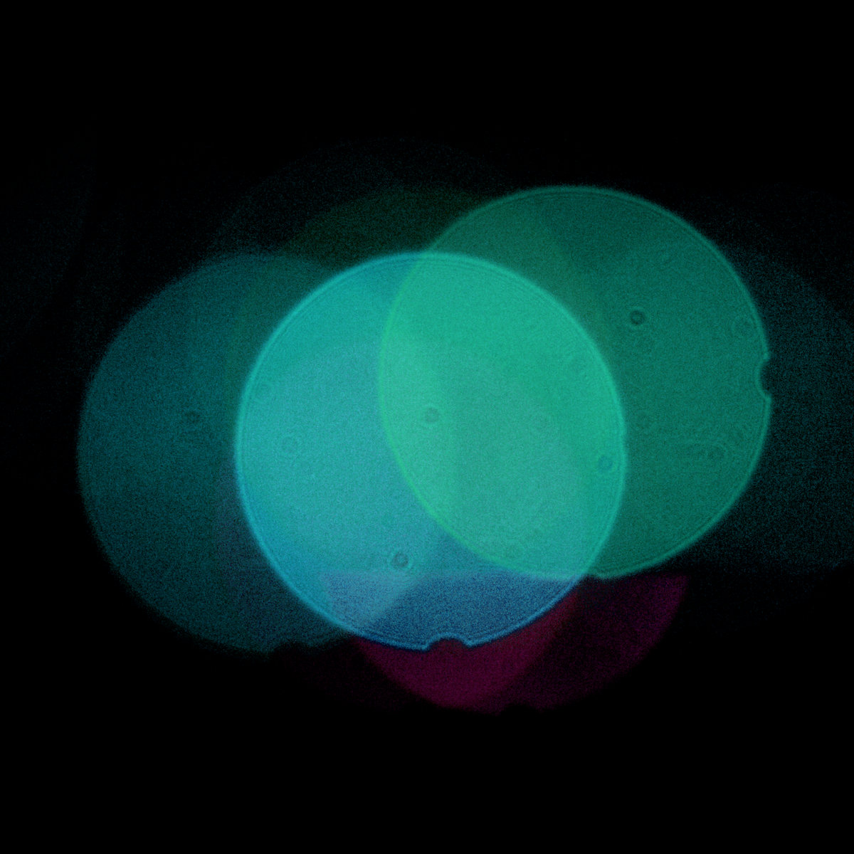 BLINKERS.hs Timothy Cleary