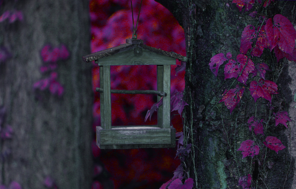 Steamroom 40 | Jim O'Rourke | Steamroom