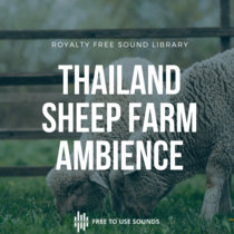 Sheep Farm Ambience Sound Library cover art