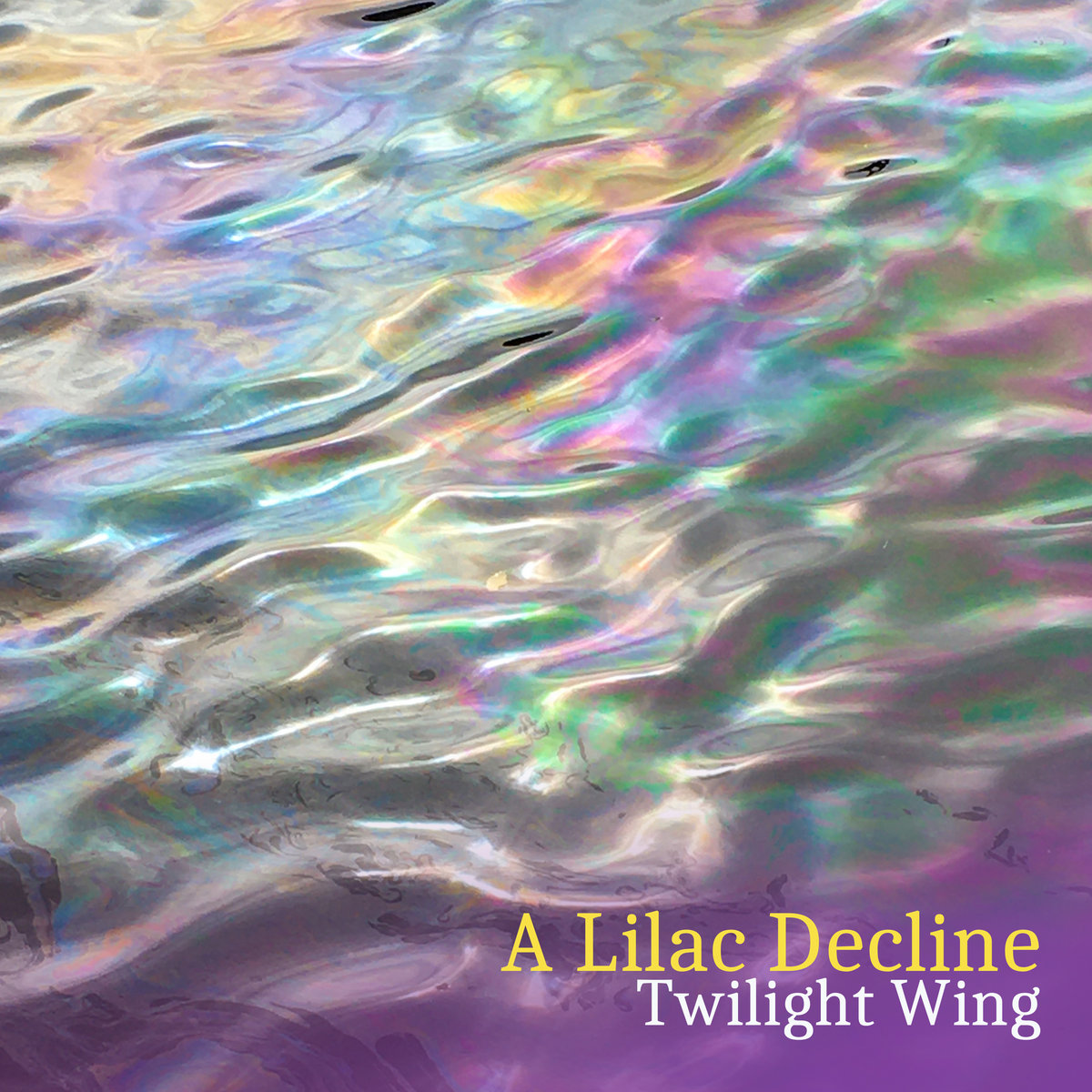 Twilight Wing (Digital Single) cover