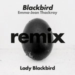 Blackbird Lady Blackbird It samples a slowed down keyboard chord from crystal waters' gypsy woman (she's homeless). blackbird lady blackbird
