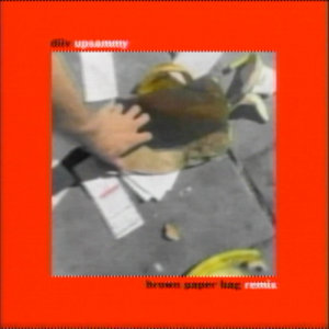 DIIV — Brown Paper Bag (upsammy Remix)