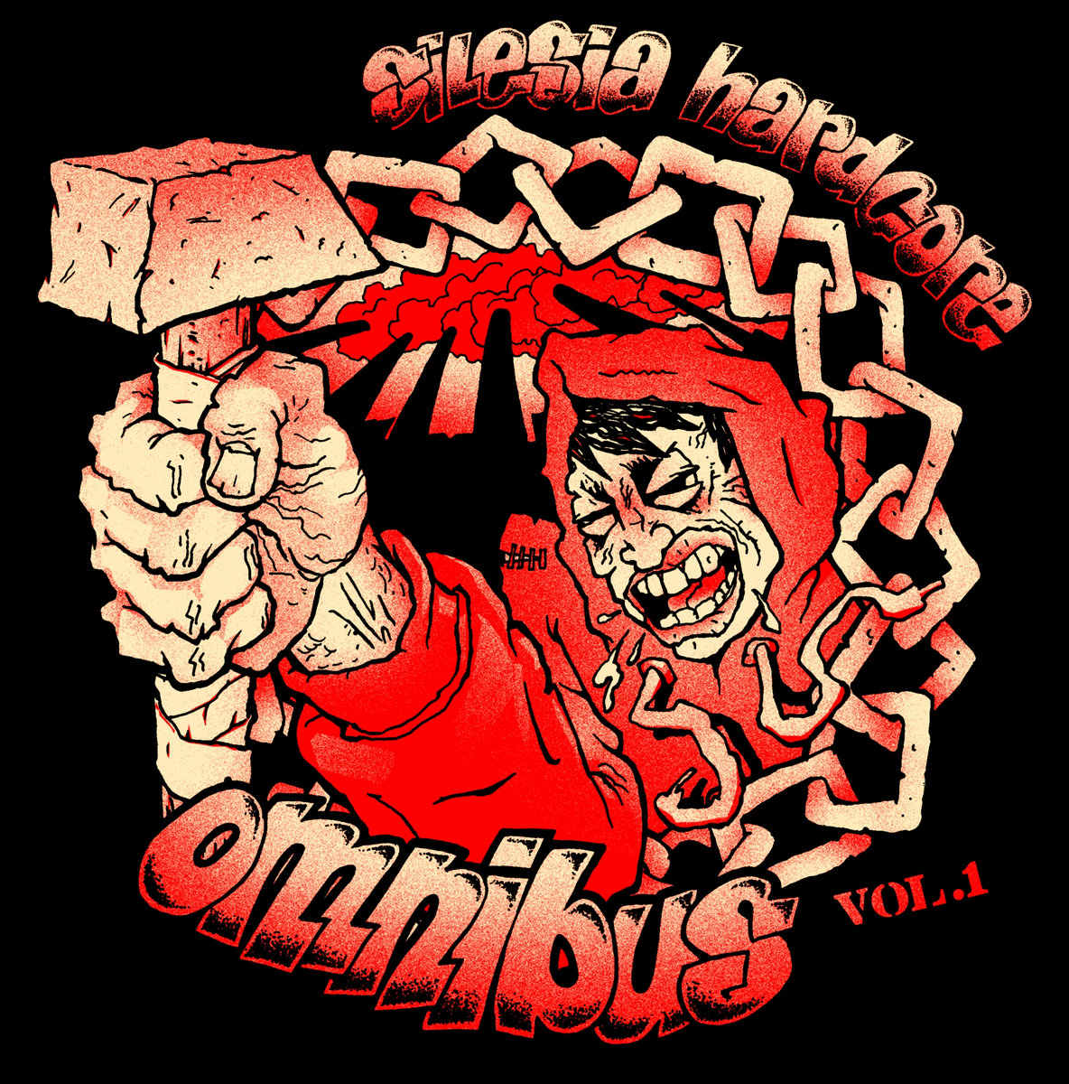 Silesia Hardcore Omnibus vol.1 | v/a | Nikt Nic Nie Wie (NNNW)