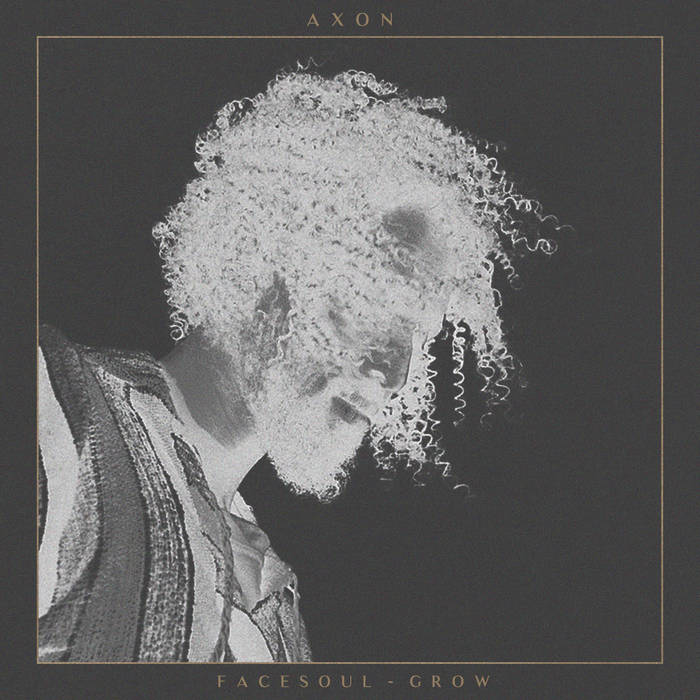FACESOUL - GROW | AXON | Synaesthetics