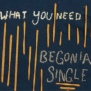 Begonia — what you need