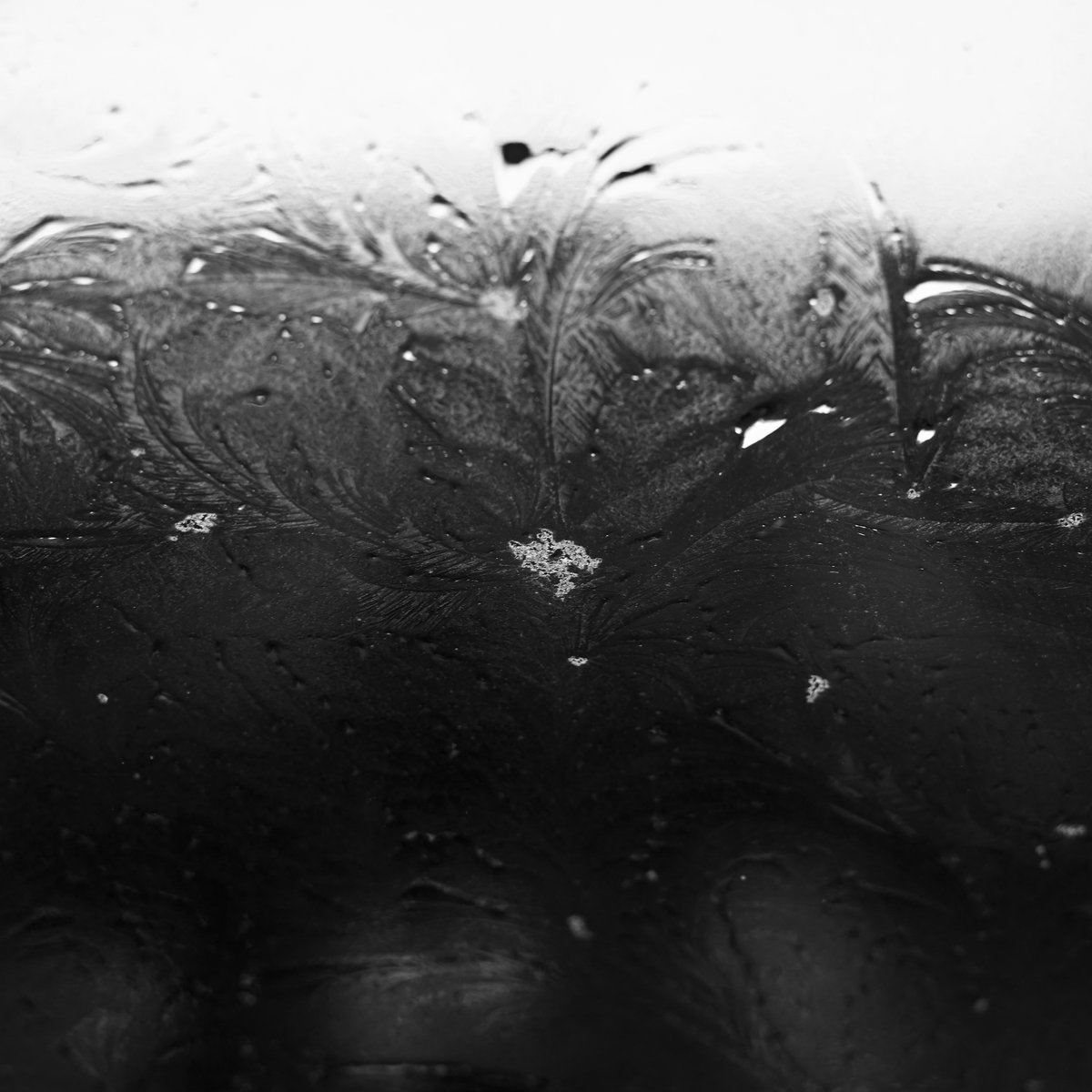 Fevrier Belle Confusion