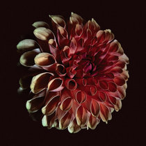 Unfolding cover art