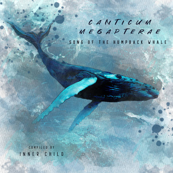 CANTICUM MEGAPTERAE - Song of the Humpback Whale (24 bit