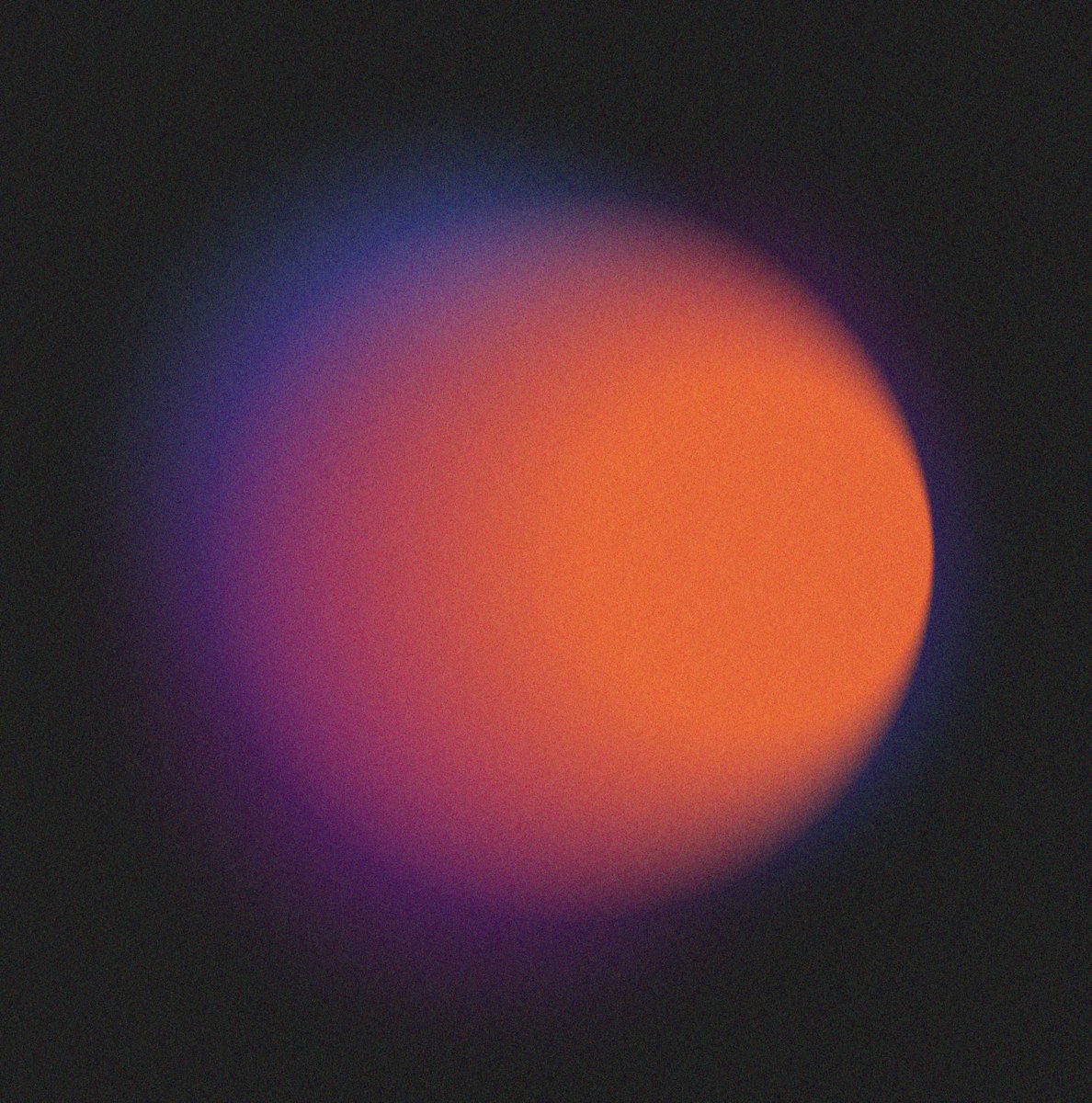 Tunnel Vision MONOWHALES