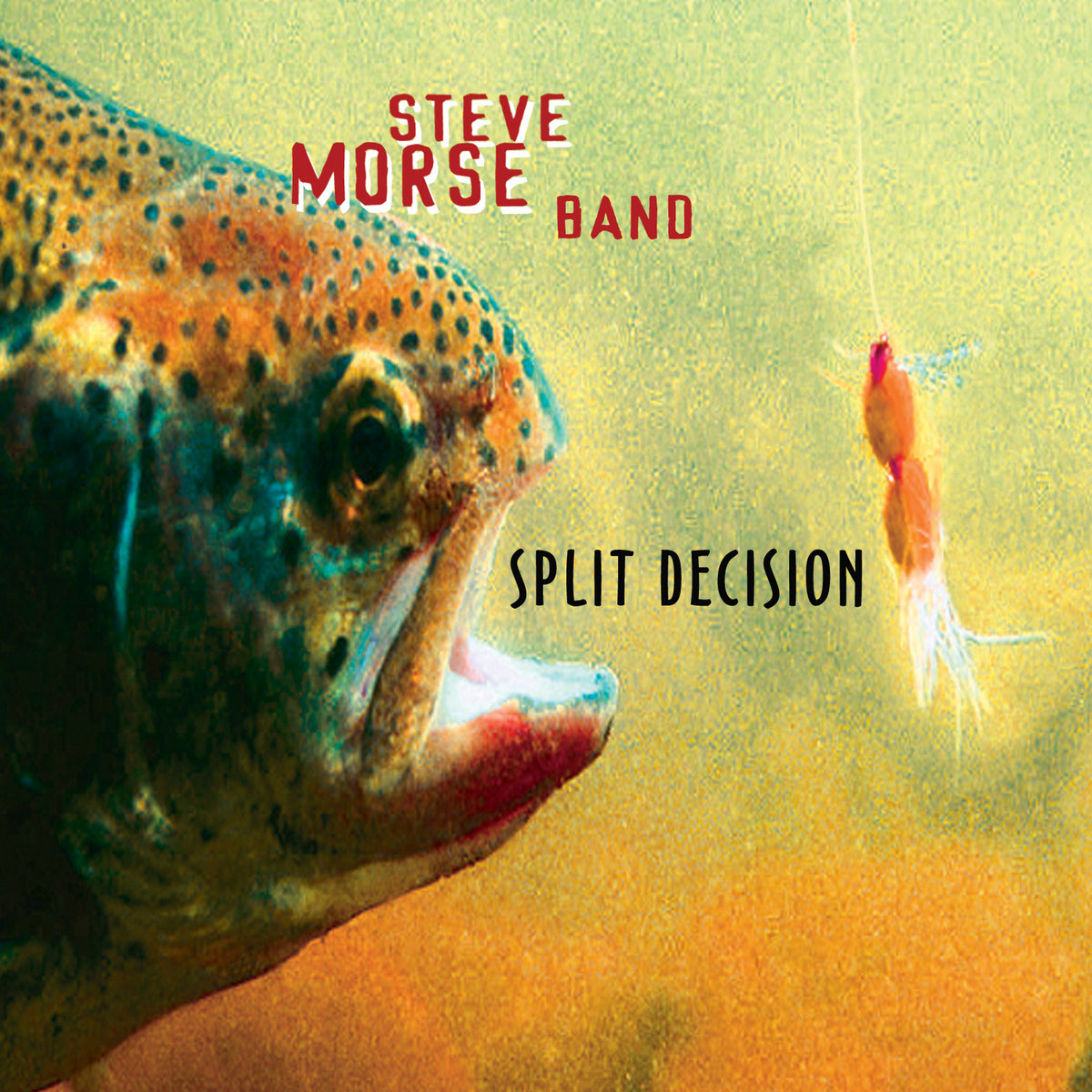 Amazon.com: Steve Morse - The Definitive Steve Morse (DVD