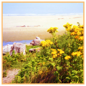 Island cover