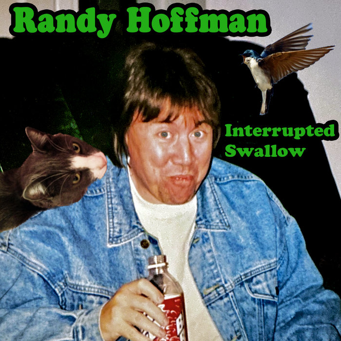 Interrupted Swallow Randy Hoffman