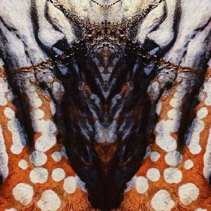 Inpathos — March Towards a Blackened Sun