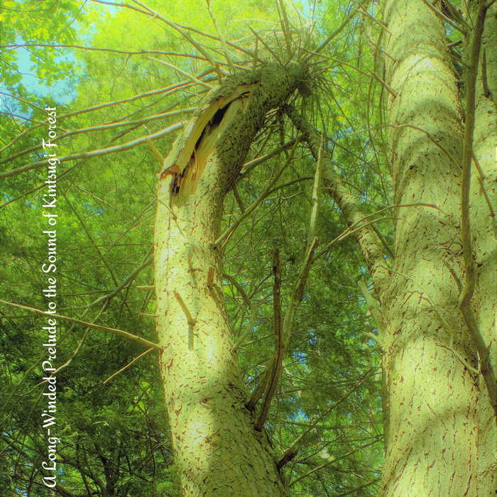 A Long-Winded Prelude to the Sound of Kintsugi Forest | Tiny Ghost Big ...