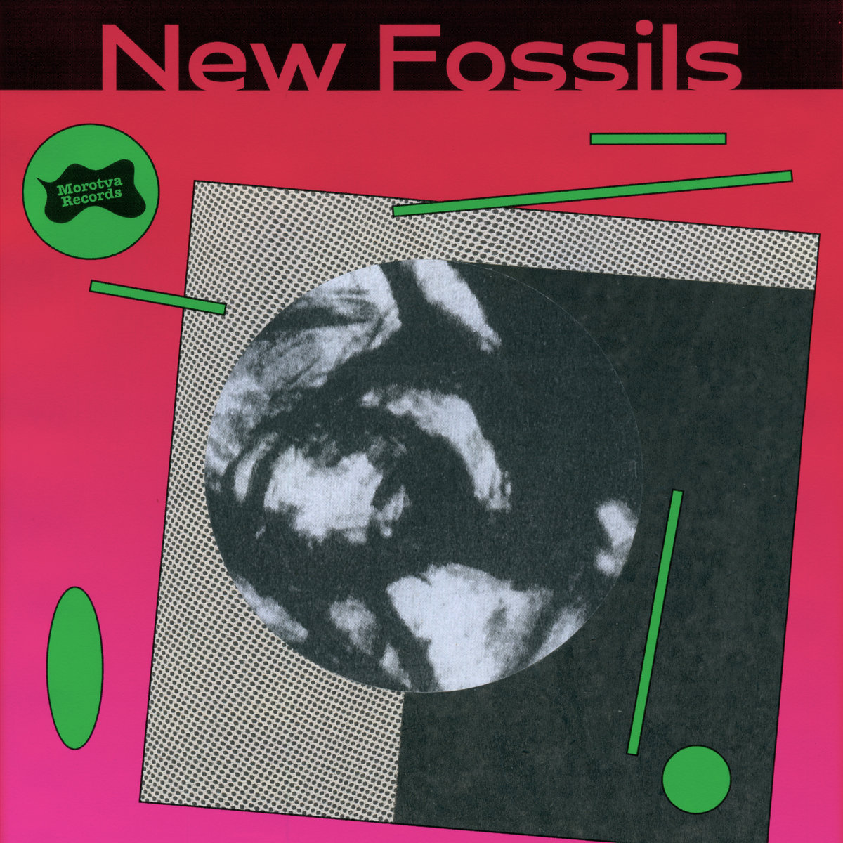 New Fossils New Fossils