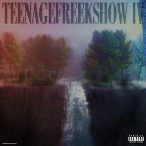 TeenageFreekshow IVWildcard cover