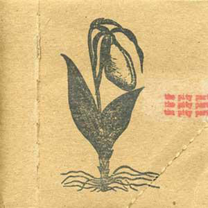 the ep cover